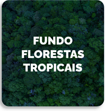 Fundo Florestas Tropicais