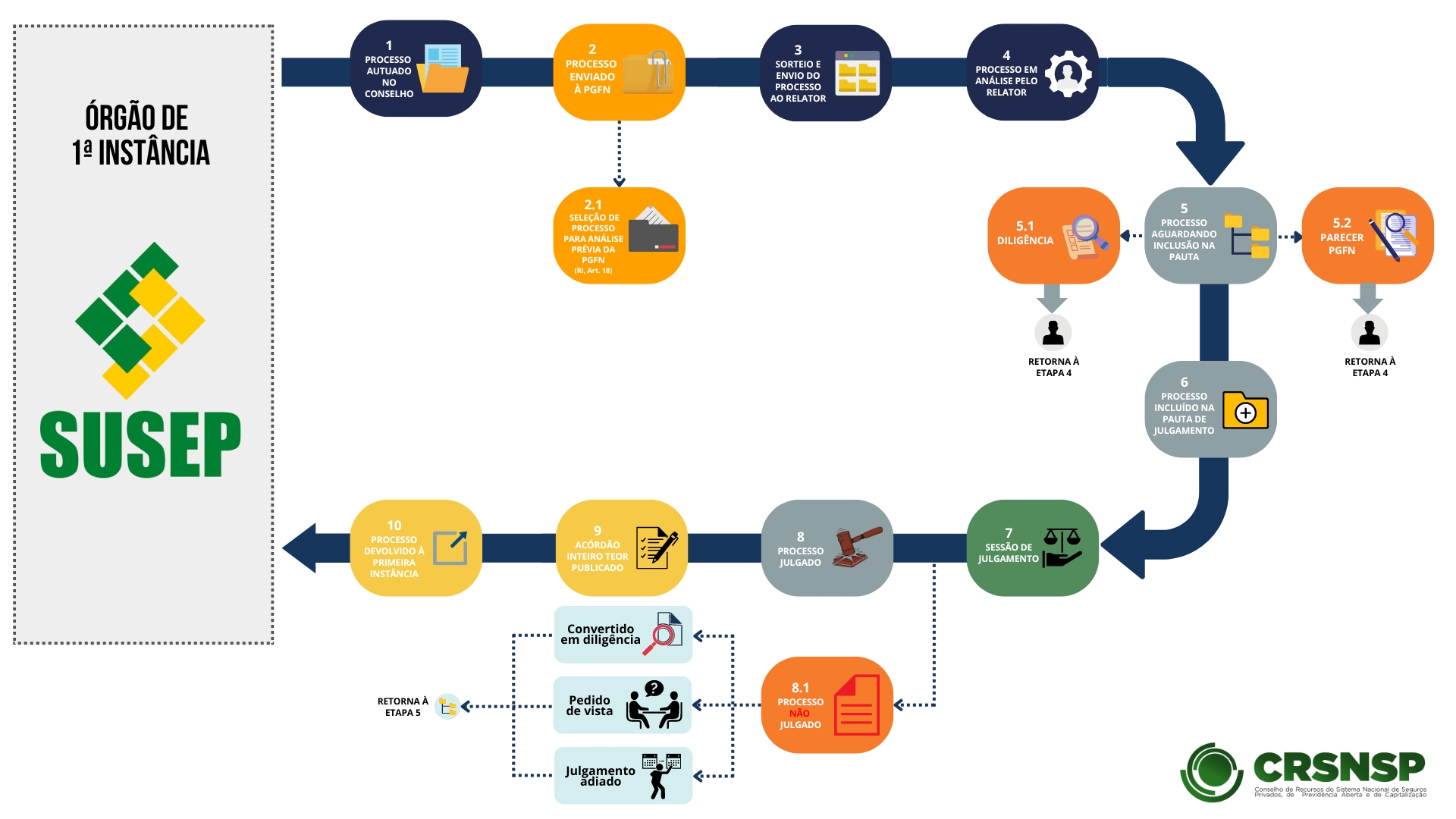 CRSNSP Entenda o trâmite processual 2024