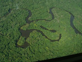 Foto: Serviço Florestal Brasileiro.