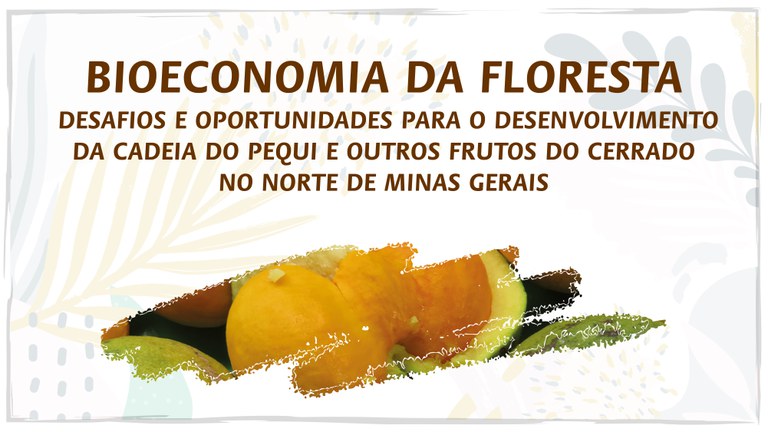 Capa_Cadeia do pequi e outros frutos do Cerrado foi tema de webinarios.jpg