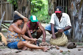 Foto: Serviço Florestal Brasileiro.