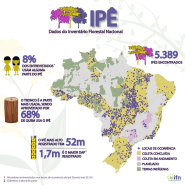 Imagem: Serviço Florestal Brasileiro.