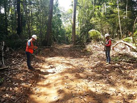 Foto: Serviço Florestal Brasileiro.