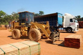 Foto: Serviço Florestal Brasileiro.