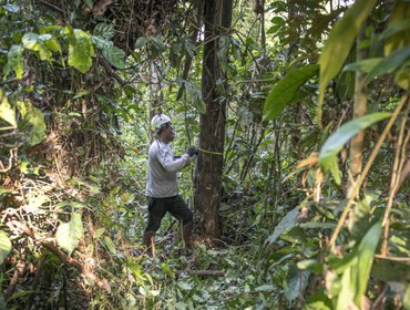 Foto: Serviço Florestal Brasileiro.