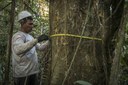 Capa_SFB contrata empresa especializada em inventário florestal.jpg