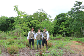 Foto: Serviço Florestal Brasileiro.