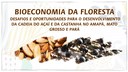 Capa_SFB promoveu debate sobre a cadeia produtiva da castanha-do-brasil e do acai.jpg