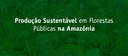 Capa_fundo_noticia_sfb.jpg