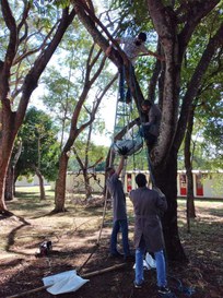 Foto: Serviço Florestal Brasileiro.