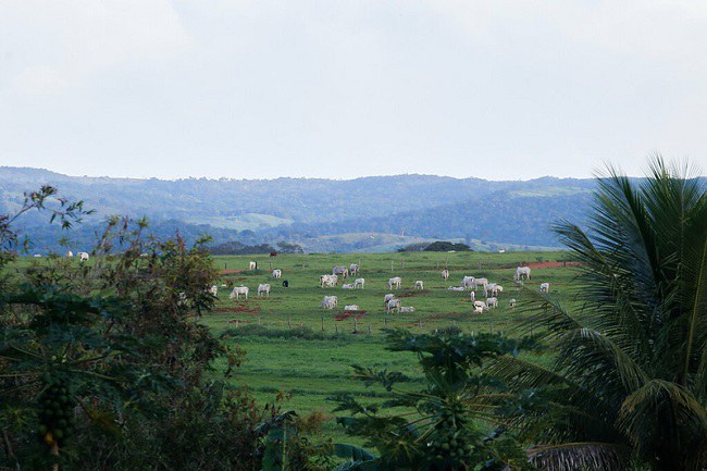 Capa_Projeto incentiva praticas agricolas sustentaveis e regularizacao ambiental.jpg