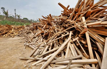 Foto: Serviço Florestal Brasileiro.