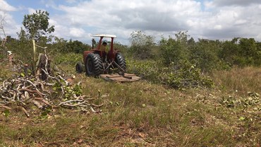 Foto: Serviço Florestal Brasileiro.