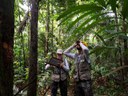 Capa_SFB realiza ifn no sudeste do Amazonas.jpg