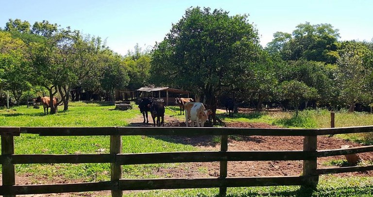 Capa_SFB estreita relações com os estados com o projeto FIP Paisagens Rurais.jpg