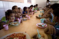 A transversalidade da alimentação escolar