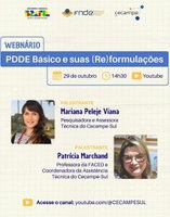 Cecampe-Sul realiza webinar sobre reformulações do PDDE Básico e Ações Integradas