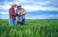 Já está disponível a quarta edição do Informe Agricultura Familiar e PNAE