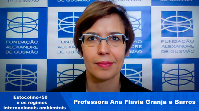 Professora Ana Flávia Granja e Barros 