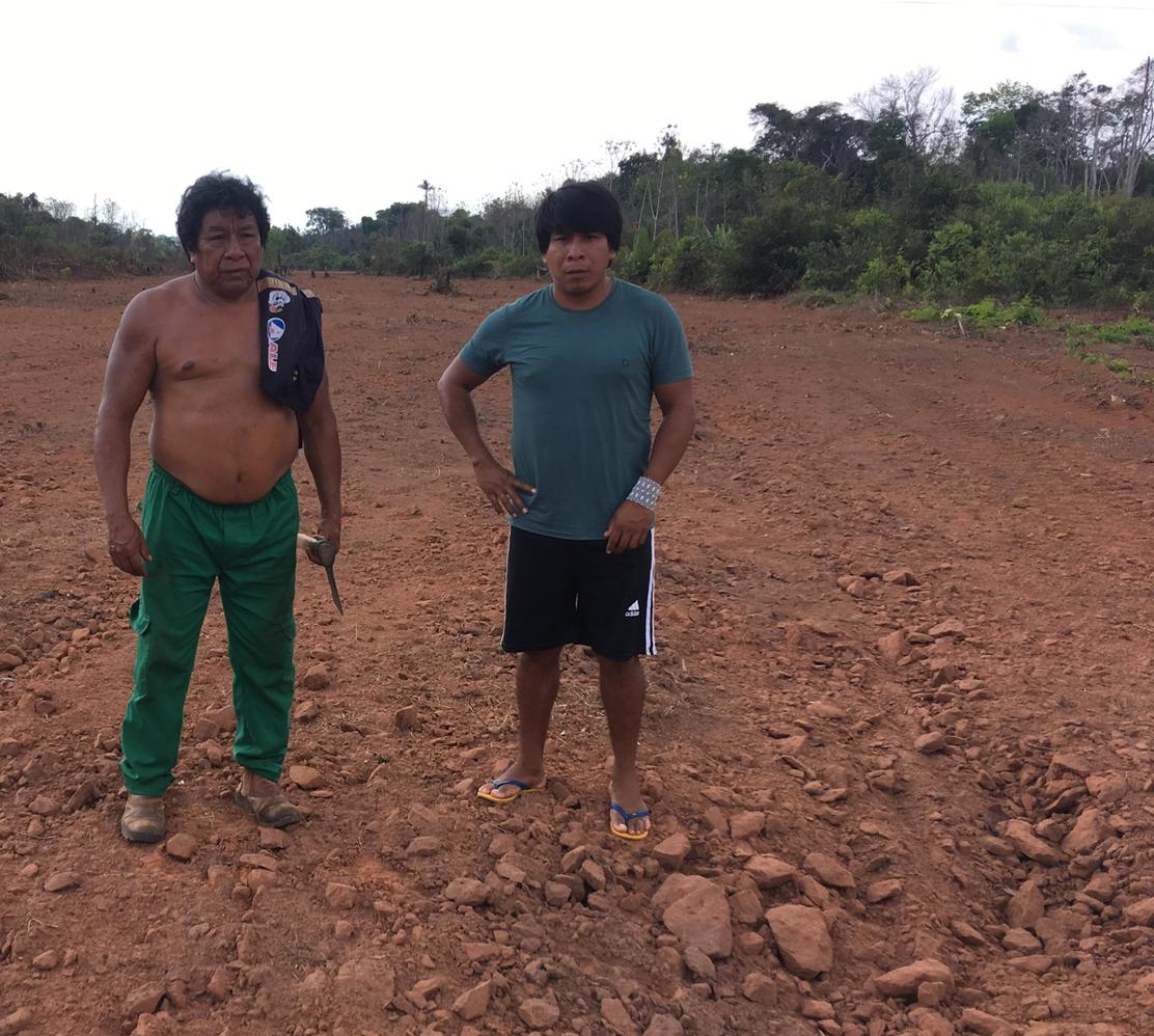 Cacique Ararapan Trumai e o filho durante o preparo da roça. (foto/:Patxon Metuktire)