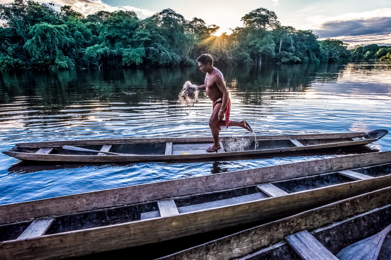 AMAZONIA CAPA