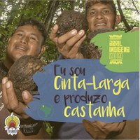 Abril Indígena: Povo Cinta Larga concilia produção de castanha e proteção da floresta