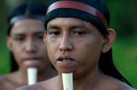 Com atuação interinstitucional da Funai, pista de pouso é homologada em Terra Indígena no Pará