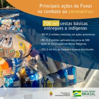 Covid-19: Funai atinge a marca de 700 mil cestas básicas distribuídas a indígenas em todo o país