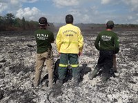 Funai apoia ações de combate ao fogo na Terra Indígena Aldeia Velha