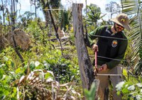 No Pará, servidores da Funai e militares derrubam abrigos e cercas de invasores em Terra Indígena