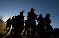 Brasil registra 274 línguas indígenas diferentes faladas por 305 etnias