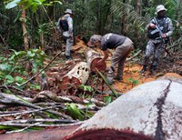 Com apoio da Funai, Operação Guardiões do Bioma combate ilícitos ambientais em áreas indígenas