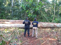 Órgãos Federais combatem crimes ambientais na Terra Indígena Uru-Eu-Wau-Wau em Rondônia