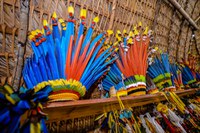 Símbolos: Uso do cocar reúne diferentes significados para os indígenas