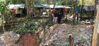 Com participação da Funai, ação combate desmatamento ilegal na Amazônia