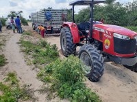 Funai apoia projeto de quintais produtivos em Terra Indígena do Mato Grosso