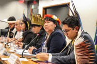 “PL 490/07 e marco temporal colocam em risco os direitos dos povos indígenas”, alerta presidenta da Funai