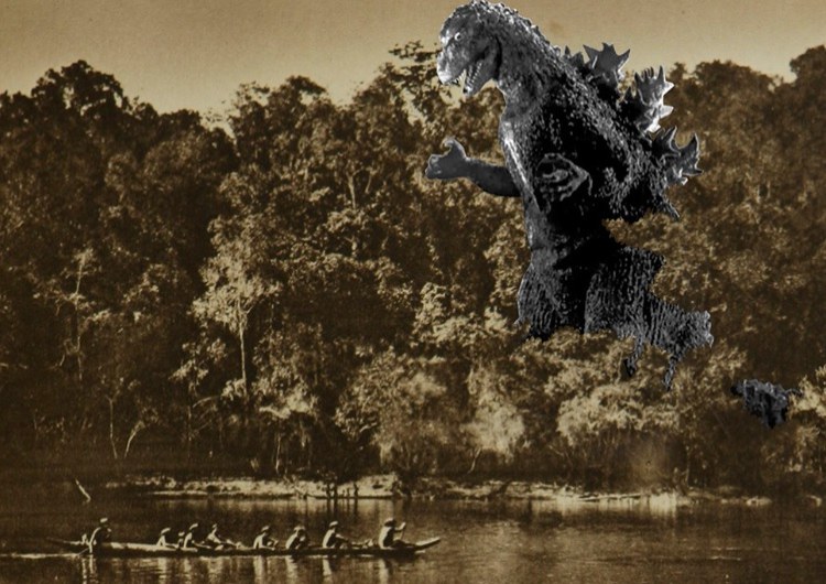 Godzilla - Denilson Baniwa  _ ED.jpg
