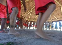 Dados do Censo 2022 revelam que o Brasil tem 1,7 milhão de indígenas