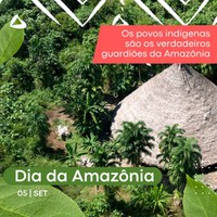 Dia da Amazônia – Funai reforça a importância dos Povos Indígenas para a proteção do bioma