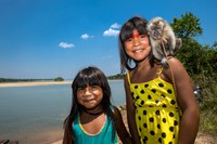Dia Internacional da Biodiversidade: cerca de 80% da biodiversidade mundial encontra-se em Terras Indígenas