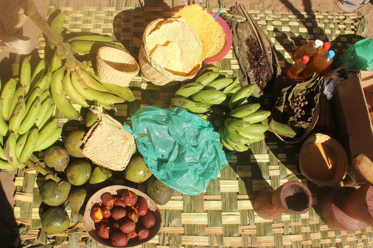 Figura 5 - produtos alimentares da roça e coleta na barrada da escola Yori Bamuybu, da aldeia Taperebá. Foto Anderson Moreira.jpg
