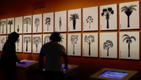 Exposição sobre línguas indígenas conta com acervo do Museu do Índio