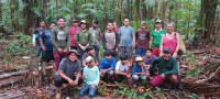 Funai apoia ação de manejo de açaizais nativos em terras indígenas do Oiapoque (AP)
