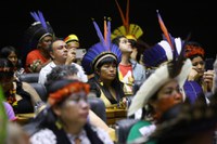 Funai participa de sessão solene no Congresso em homenagem à 19ª Edição do Acampamento Terra Livre