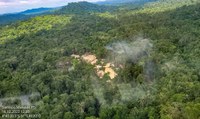 Governo Federal inicia nova desintrusão de Terras Indígenas no Pará