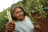 Indígenas poderão comprovar atividade rural para acessar benefícios