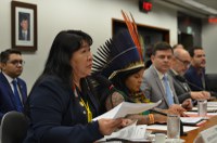 Joenia Wapichana: "O que causa insegurança jurídica é não regularizar as terras indígenas"