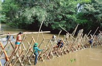 No Mato Grosso, aldeias do povo Enawenê-Nawê iniciam principal ritual do ano