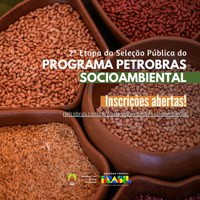Petrobras abre seleção de projetos socioambientais; povos indígenas estão entre os públicos prioritários